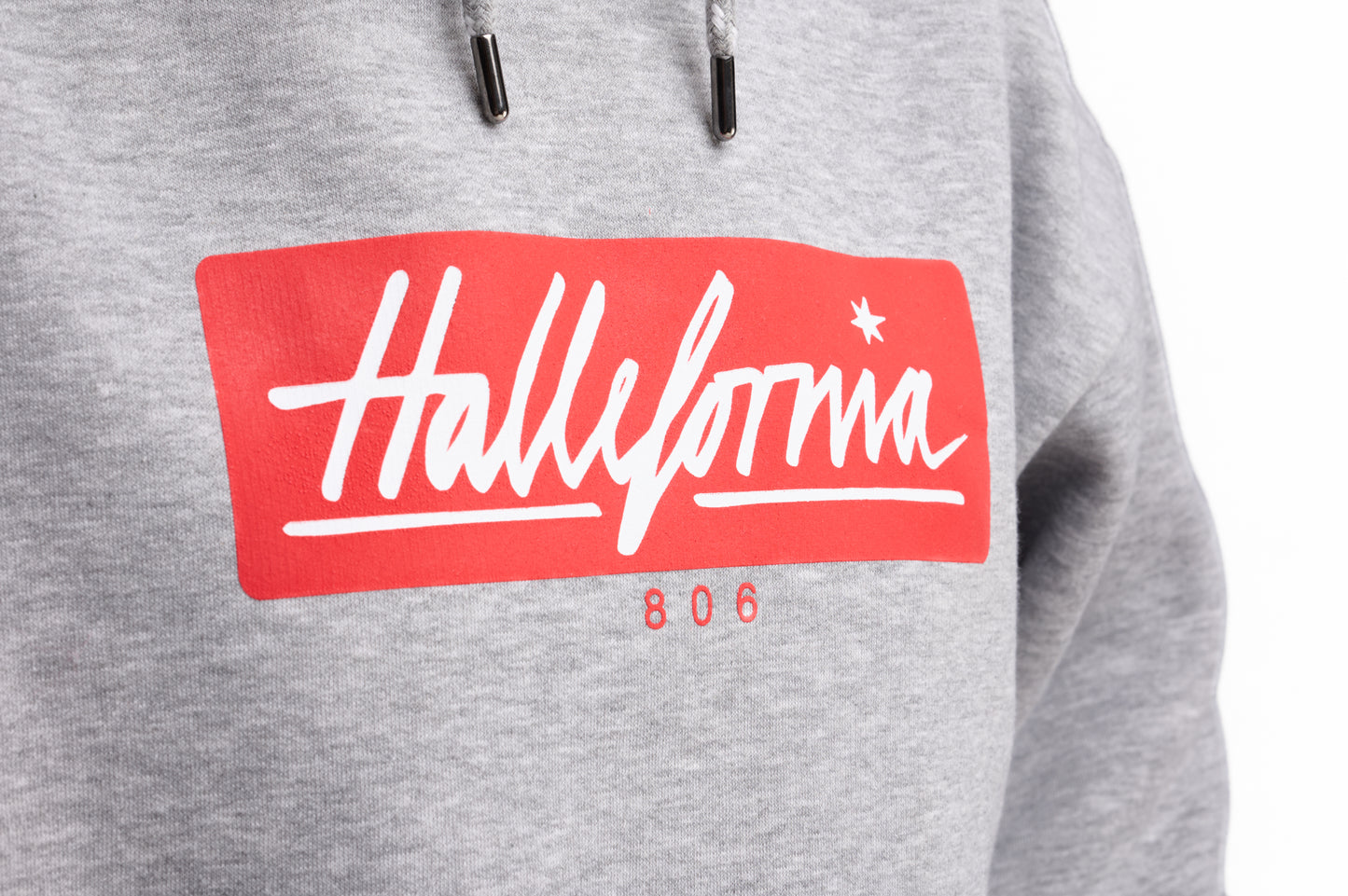 CLASSIC LOGO Hoody Grey