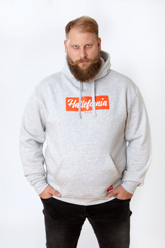 CLASSIC Hoody Grey